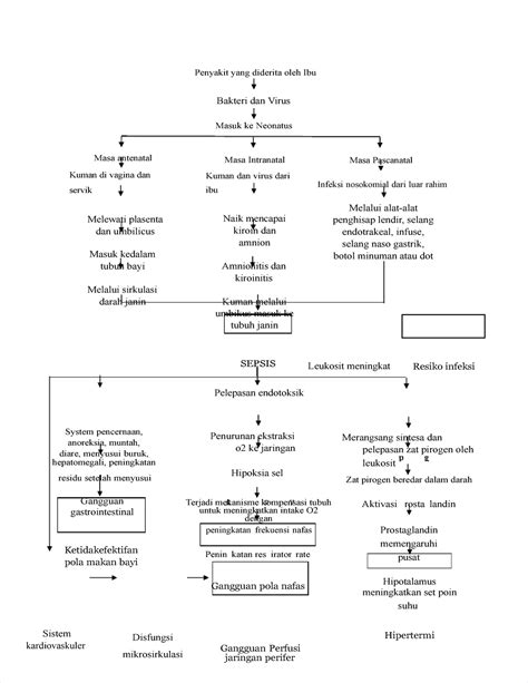 pathway sepsis neonatorum